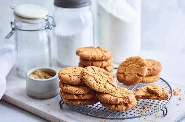 Classic Digestives